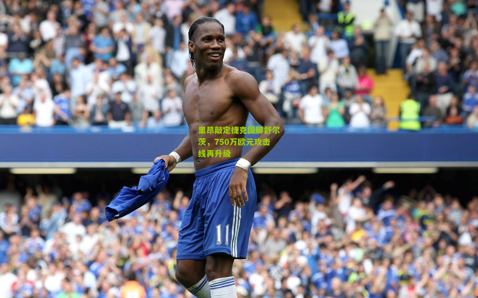 里昂敲定捷克国脚舒尔茨,750万欧元攻击线再升级