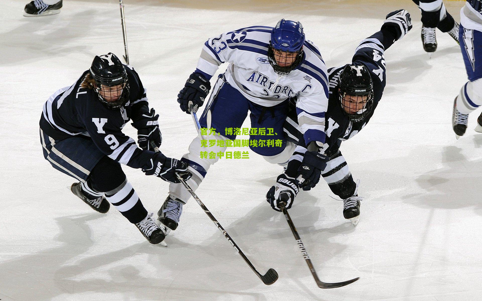 官方，博洛尼亚后卫、克罗地亚国脚埃尔利奇转会中日德兰