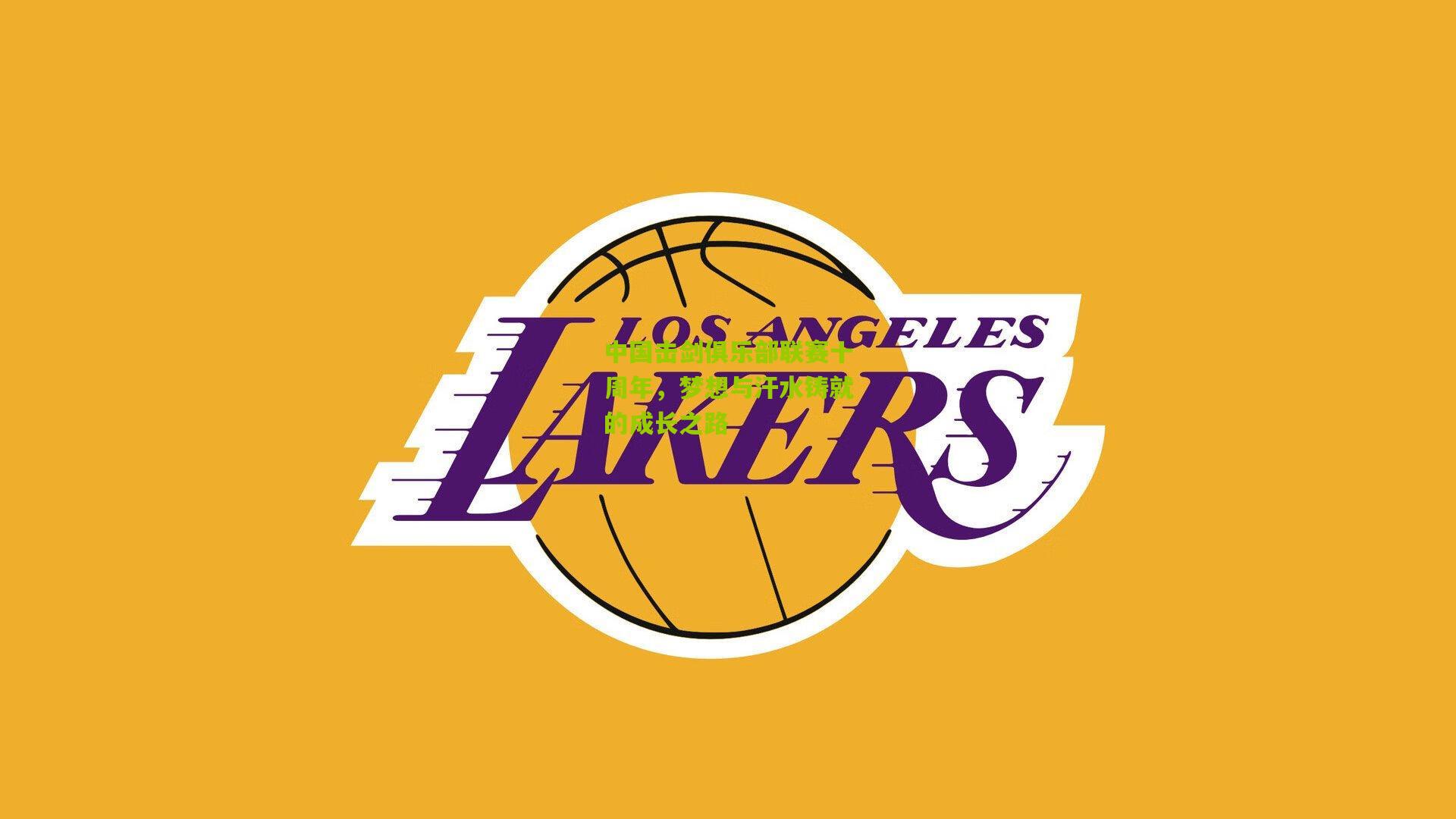 中国击剑俱乐部联赛十周年,梦想与汗水铸就的成长之路