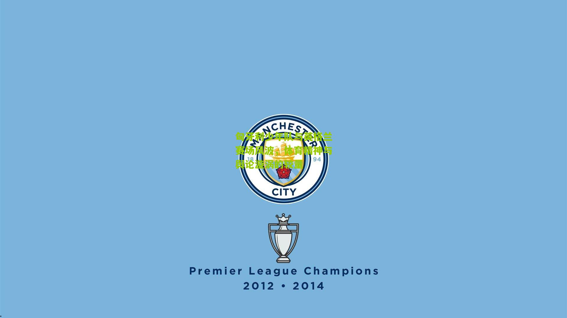 匈牙利少年队与英格兰赛场风波,体育精神与舆论漩涡的较量