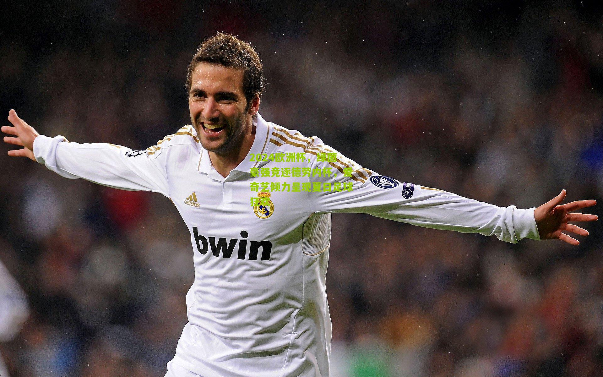 2024欧洲杯,绿茵豪强竞逐德劳内杯,爱奇艺倾力呈现夏日足球狂欢